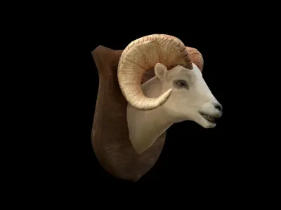 Ram Head - PBR - Textured Low-poly 3D model