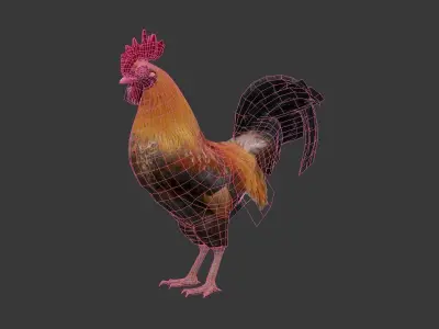 Cock  Rooster Low-poly 3D model