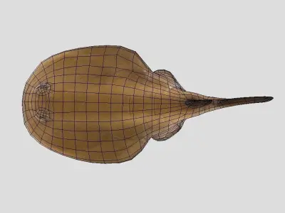 Sleeper Ray Realistic Animated Low-poly 3D model