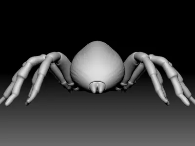 Mouse Spider Low-poly 3D model
