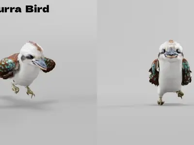 Kookaburra BIrd 3D model