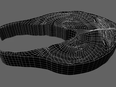Slice of Raw Salmon 3D model