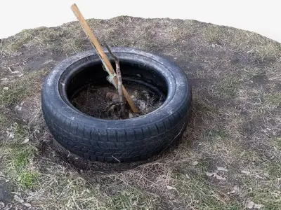 Photorealistic 3D scan of a tire planter for a tree saplin Free low-poly 3D model