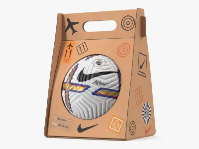 Packed Premier League 2022-23 Nike Flight Soccer Ball 3D model