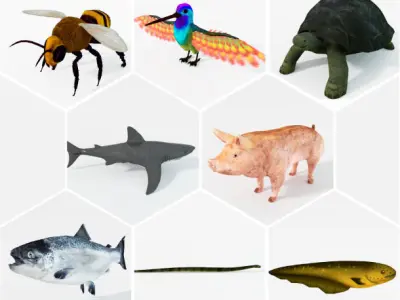 40 Models Animal Pack - Collection Low-poly 3D model