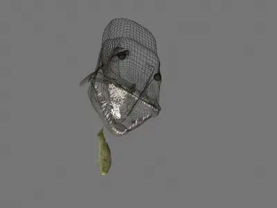 MUSKIE HEAD TEXTURES 3D model