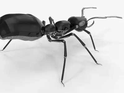 Black robot ant 3D model
