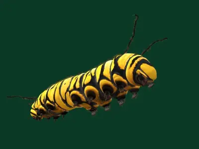 Caterpillar idle 3D model