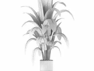 Indoor Plants in Ferm Living Bau Pot Large - Set01 3D model