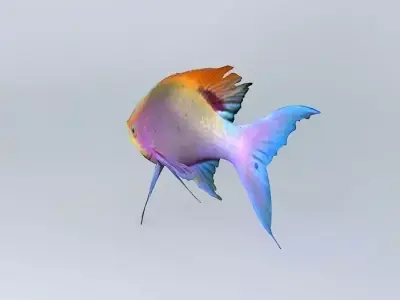 Pelvicachromis-pulcher Fresh Water Fish Free 3D model