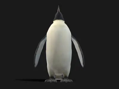 Emperor Penguin - Animated Low-poly 3D model