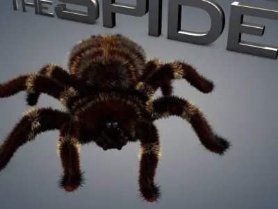 Spider tarantula 3D model
