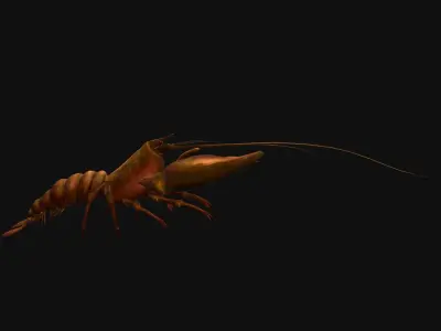 Animated crayfish Low-poly 3D model
