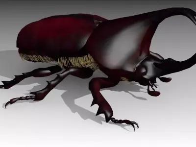 Rhinoceros Beetle Low-poly 3D model
