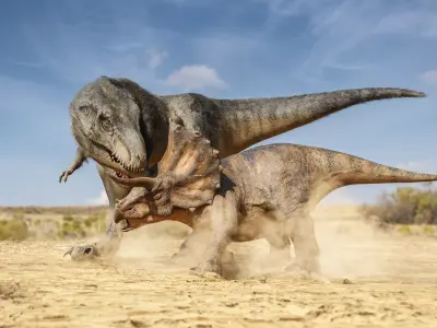 Triceratops dinosaur Low-poly 3D model