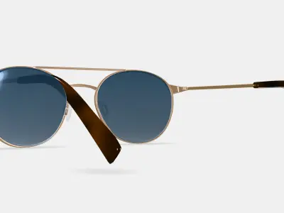 Fisher Sunglasses in Polished Gold 3D model
