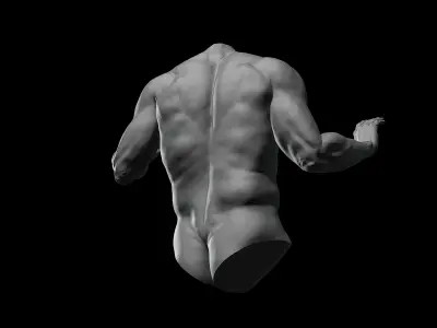 3D Printable Male Torso with Arms 3D model