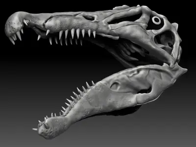 Spinosaurus 2020 version Skull Set Skeletons Sculpt Project 3D model