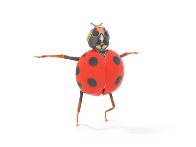 Red Ladybug Insect model pack Low-poly 3D model