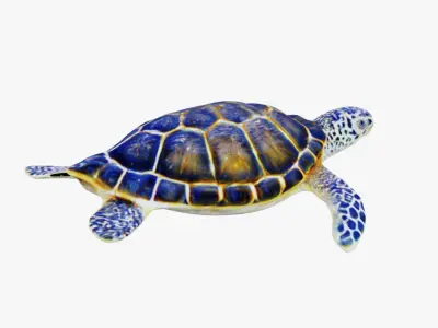 Sea Turtle Free 3D model