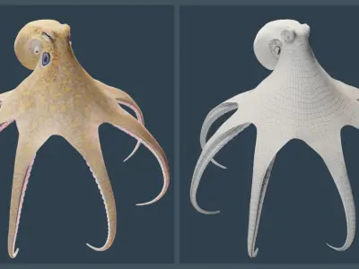 Animated California Two-Spot Octopus Low-poly 3D model