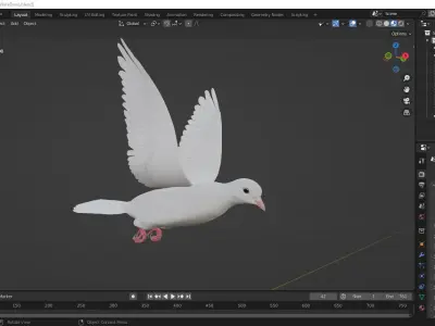 realistc White Dove- LOOP FLIGHT animation Low-poly 3D model