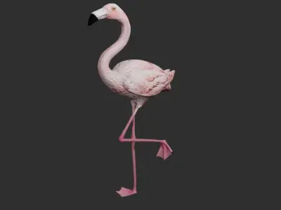 Flamingo 3D model