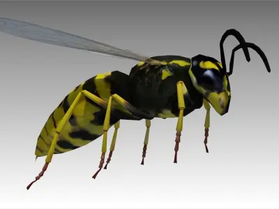 Wasp Animated Low-poly 3D model