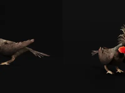 Black Palm Cockatoo Bird Low-poly 3D model