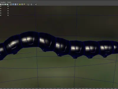 insect  worm Cordyceps 3D model