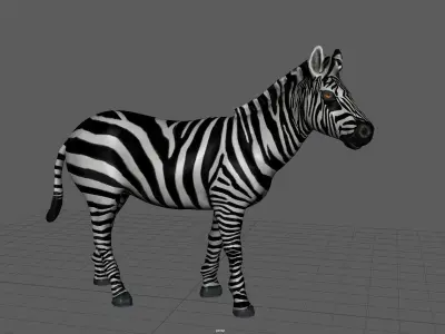 ZEBRA Low-poly 3D model