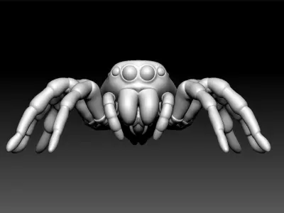 Jumping Spider Low-poly 3D model