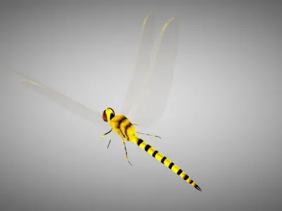 Animated dragon fly and butterfly 3D model