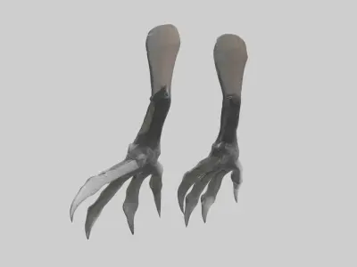 Falcon Talons Low-poly 3D model