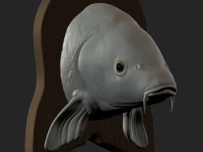 CARP DETAILED TEXTURE TROPHY TAXIDERMY FOR 3D PRINTING Free 3D print model