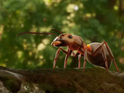 Realistic ant 3D Model Low-poly 3D model