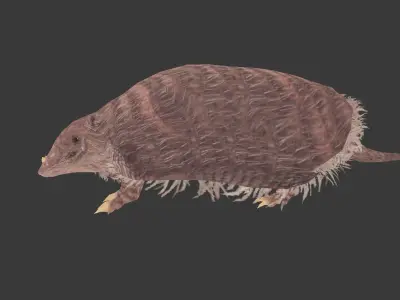Peltephilus armadillo Low-poly 3D model