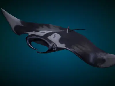 Manta Ray Animated 3D model