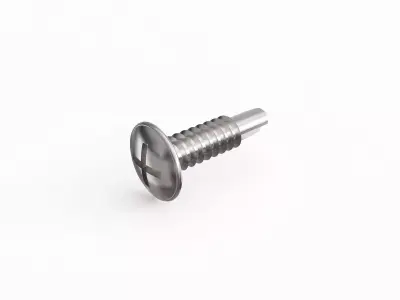 Screw 17 3D model