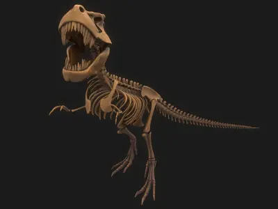 T-rex Skeleton 3D model