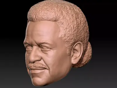 Shepherd Derrial Book 3D print model