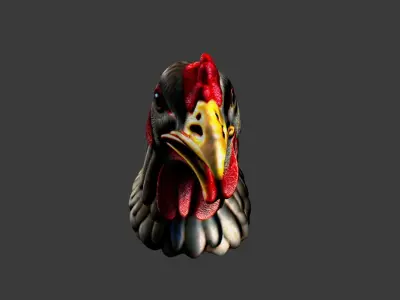 Chicken Animal Head Low-poly 3D model