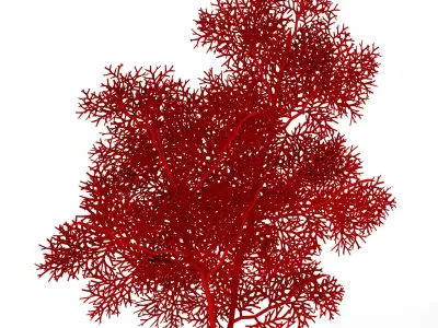 2020 XfrogPlants Red Sea Library  3D model