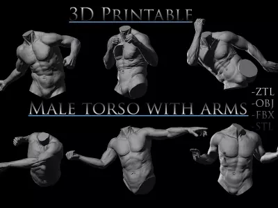 3D Printable Male Torso with Arms 3D model