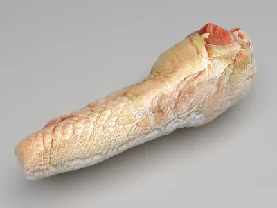 Chicken Neck 3D model