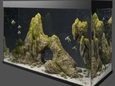 Aquarium with cliff and moss 3D model