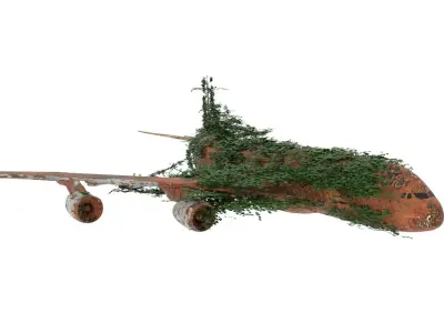 Damaged Rusted Airplane 3D model