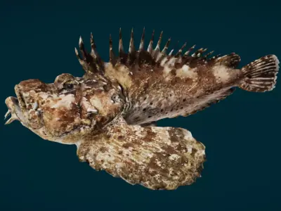 Demon Stinger Fish 3D model