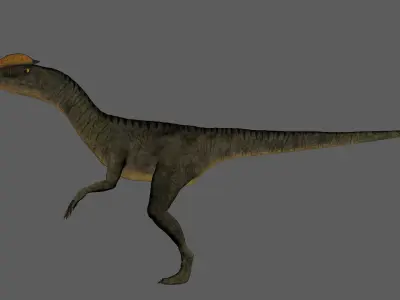 Velociraptor Low-poly 3D model dinosaur Low-poly 3D model