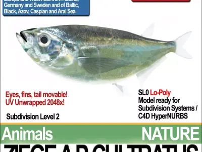 Ziege A animals ap cultivatus 3D model